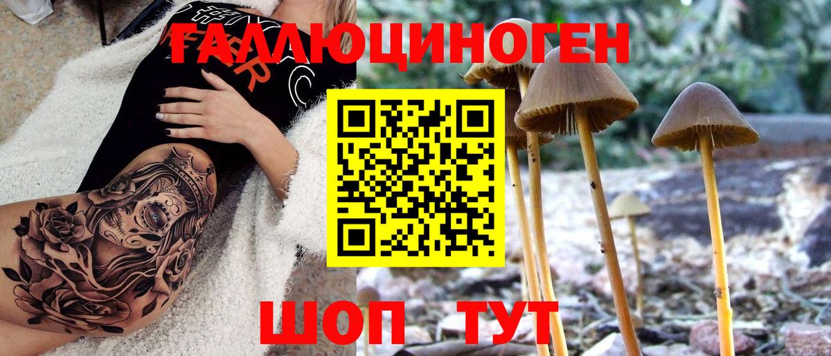 закладка  Псилоцибиновые грибы GOLDEN TEACHER  Вход с VPN  Гагарин 