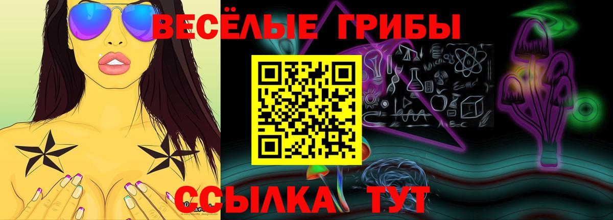 Галлюциногенные грибы Magic Shrooms Гагарин